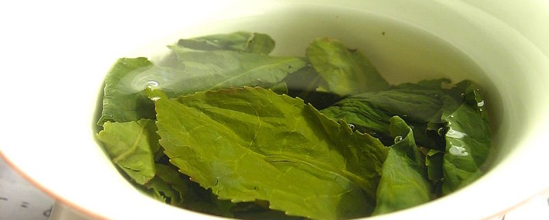 a cup of green tea leaves steeping in water
