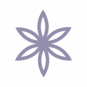 The Living Beauty Cancer Foundation icon for workshops, a lavender star with six points